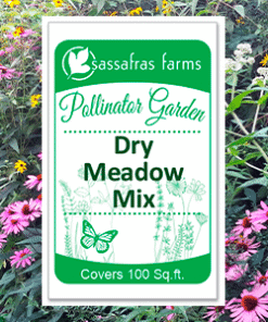 Dry Meadow Mix