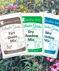 Pollinator Garden Seed Mixes