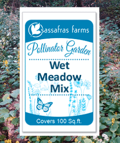 Wet Meadow Mix