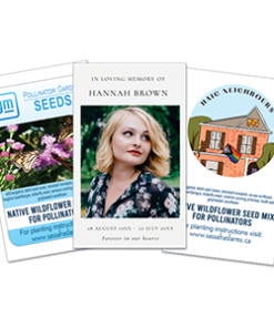 Seed Favour Packets